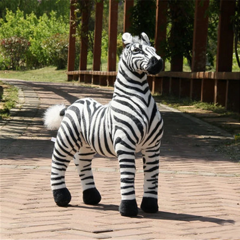 zebra2