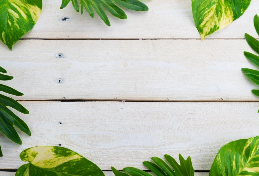 Laeacco Leaf Wooden Board Portrait Scene Baby Children Photography Backdrop Customized Photographic Background For Photo Studio Laeacco Leaf Wooden Board Portrait Scene Baby Children Photography Backdrop Customized Photographic Background For Photo Studio
