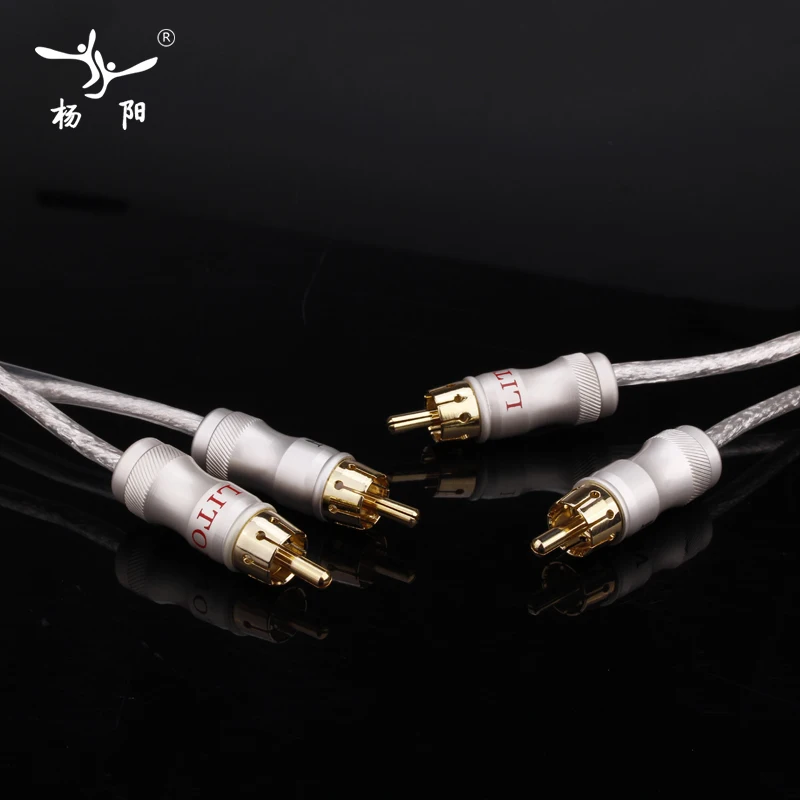 Посеребренное двойное кольцо фильтр YYAUDIO Liton линия аудиосигнала штекер RCA