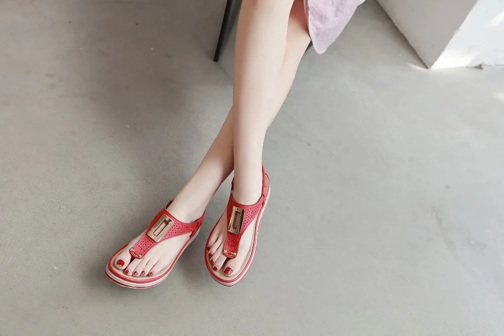 5DSR5994