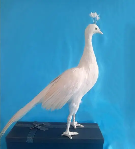 Реальной жизни игрушечная птичка большой 50x40 см белые перья женский Павлин образцовое изделие кустарного промысла для дома и сада