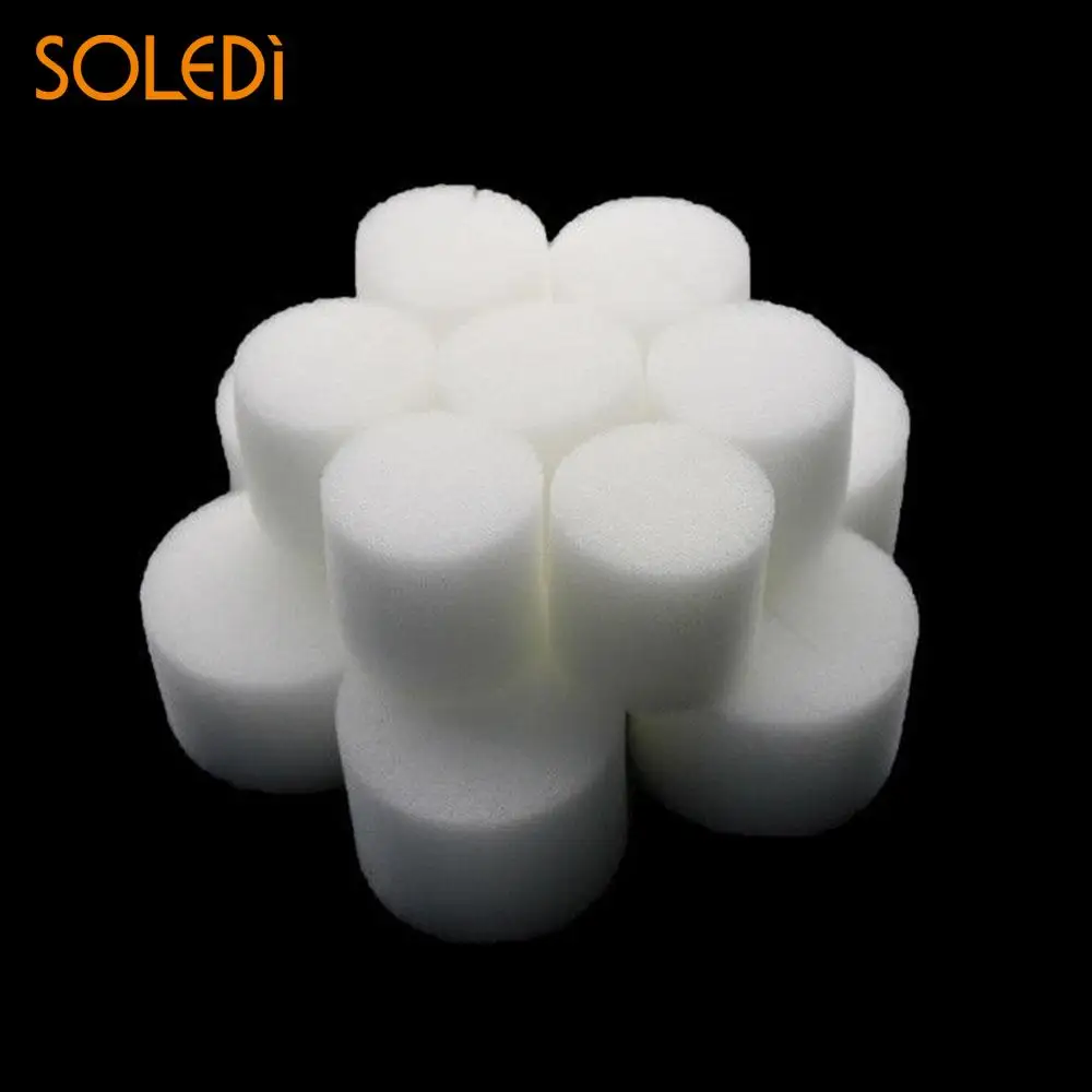 

Durable Collar Foam 10pcs Soilless Hydroponic Mini Hydroponics Sponge Insert Plant Reusable Cloning Collar Foam