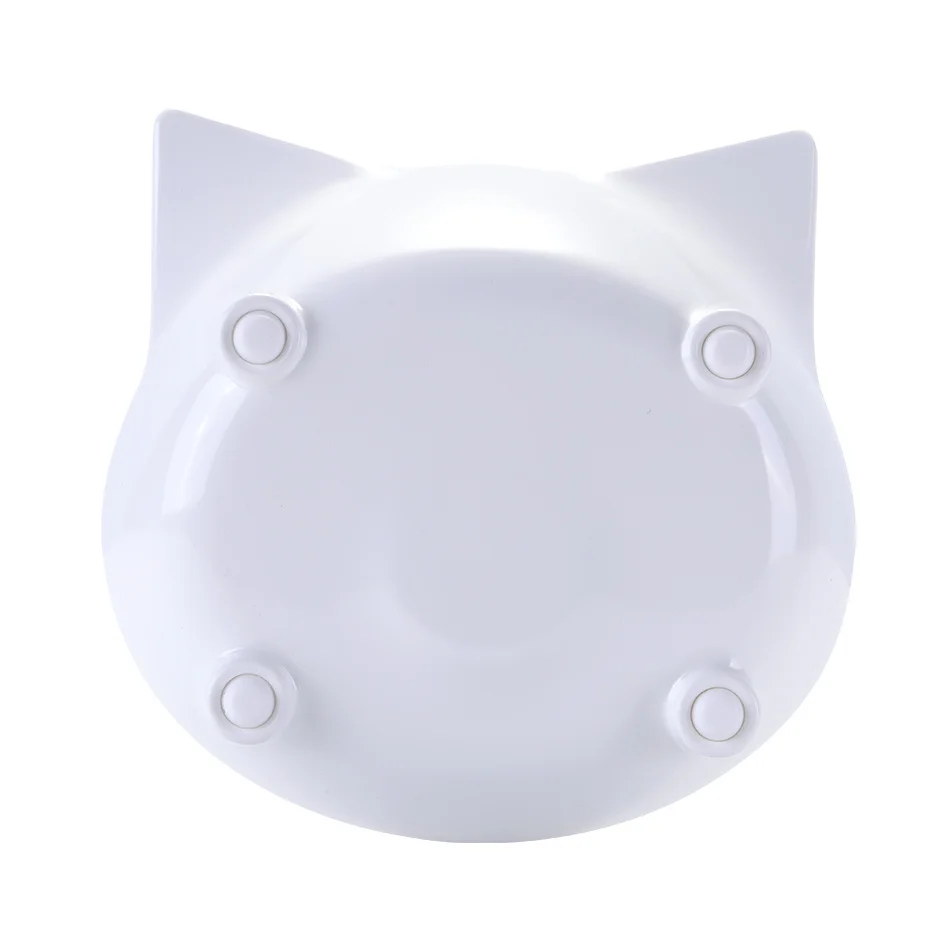 cat dish