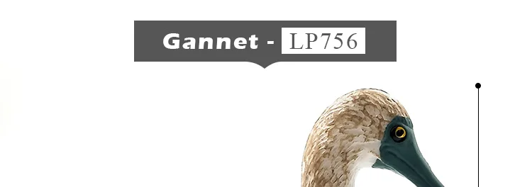 -2---DW-M-LP755-756_08