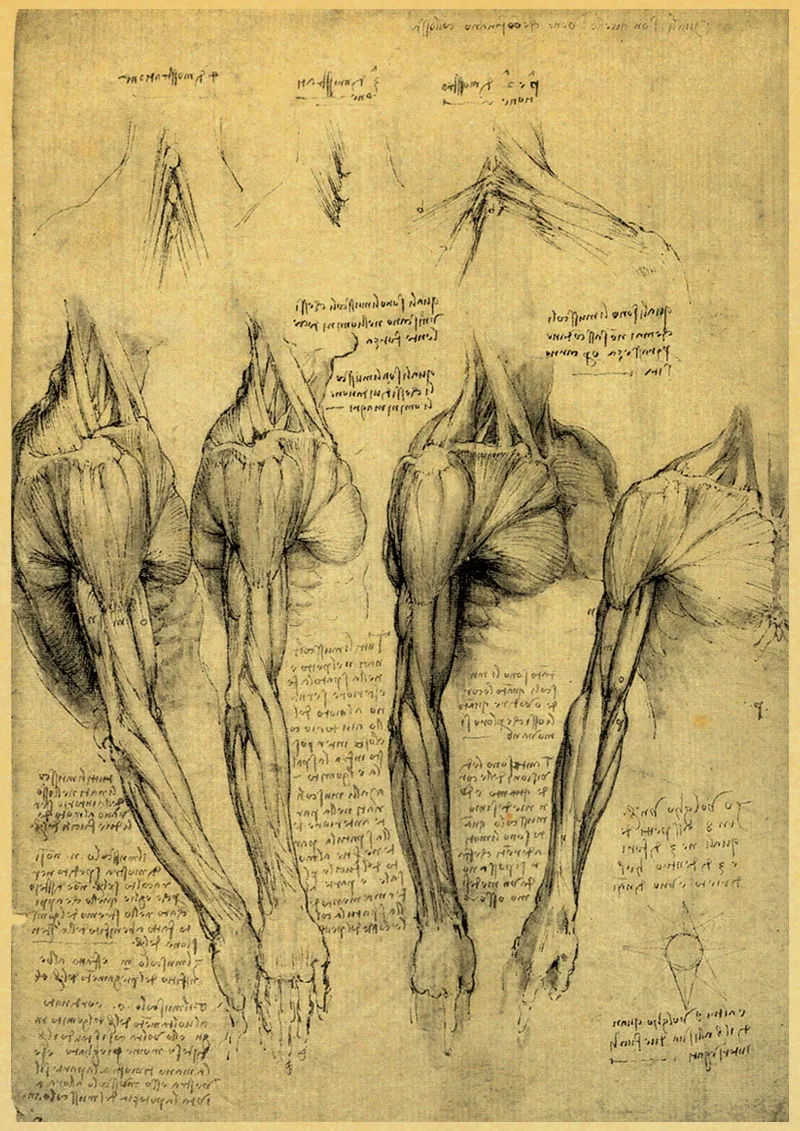 Leonardo рукопись да Винчи Витрувианский человек ностальгические плакаты ретро декоративная напечатанная картина ядро крафт Бумага наклейки на стену - Цвет: P062