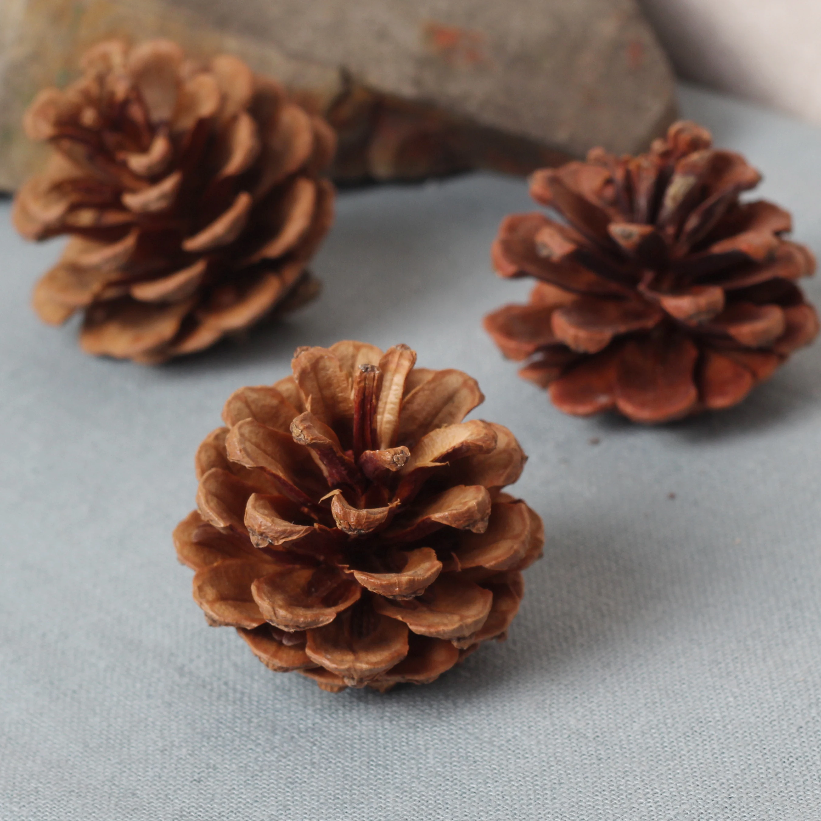 Acquista all'ingrosso online creativo materiale da grossisti ... Creativo Giardino Fiorito