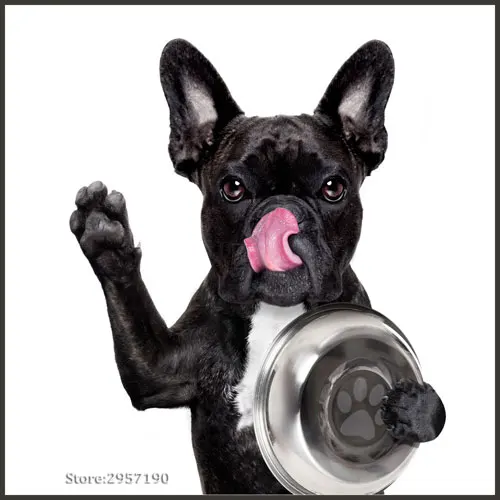 Funny Dog Wall Art Prints Pet Puppy Hipster Animals Canvas Wall