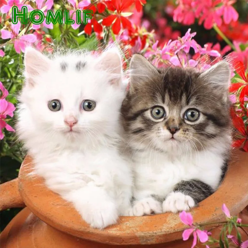 

Diamond Painting Kitten DIY 3D Diamond Embroidery Pottery Two Kittens Pictures With Beads Garden Animals Flower Mosaic Drawings