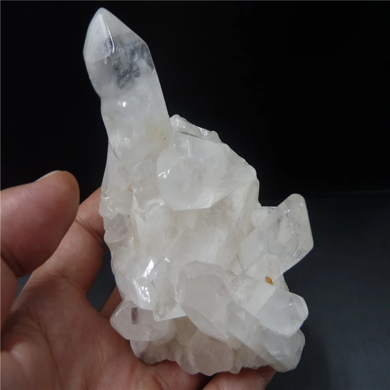 P1440561