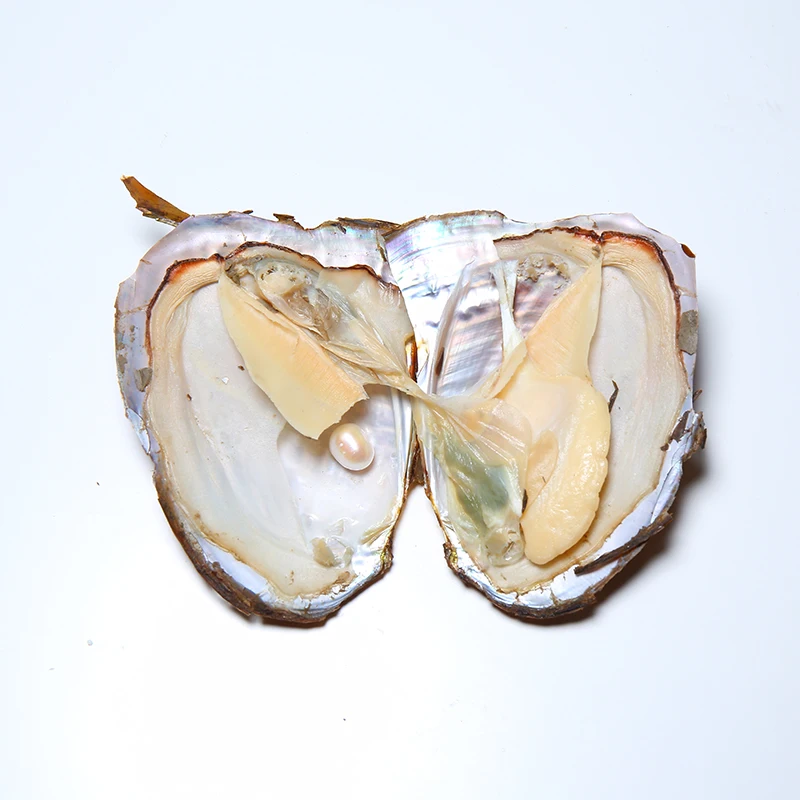 DMWB007 натуральная устричная мидея бусины Созвездие желаний коробки пресноводный жемчуг кулон ожерелье для женщин