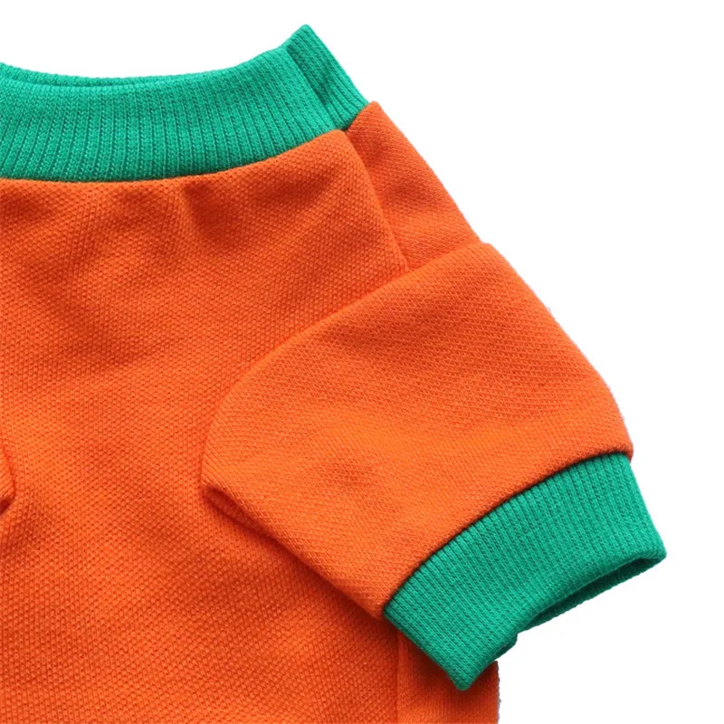 dog sweatshirt