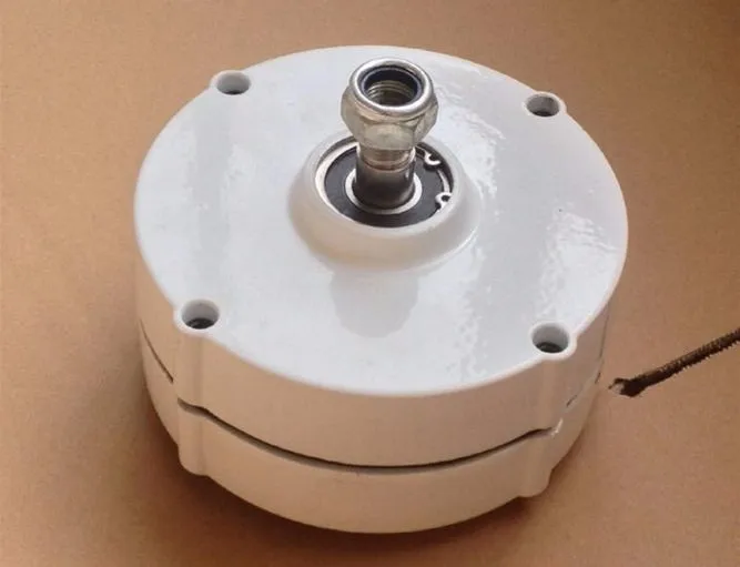 Three phase 100w brushless alternative energy alternator for wind turbine 