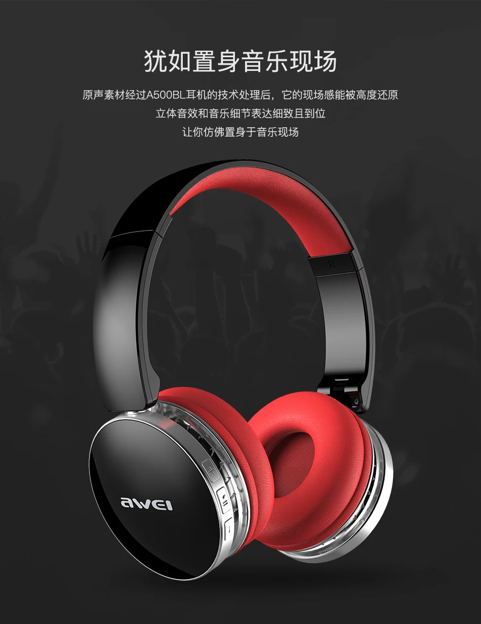 A500BL_06
