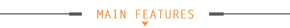 main feature