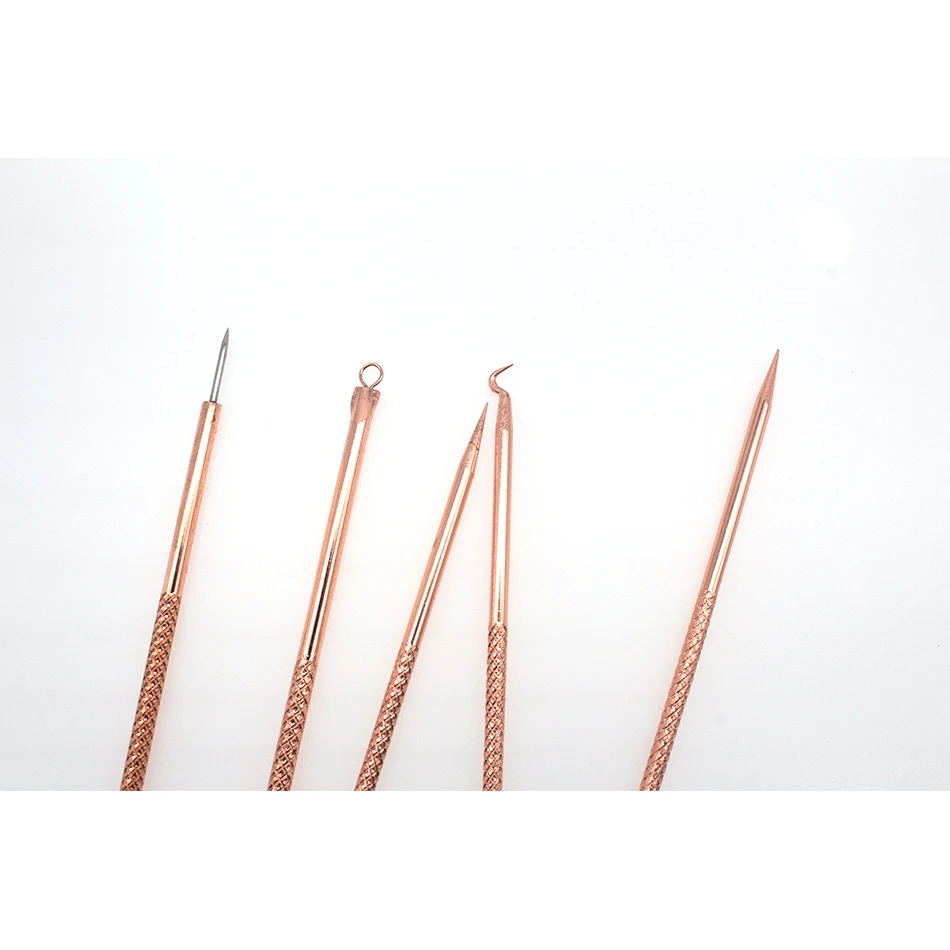 04ULECHQING 5 Pcs metal Blackhead Remover Tool Kit Professional Stainless Steel Pimple Comedone Extractor removing needle