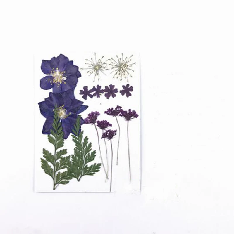 (HSWL)-3