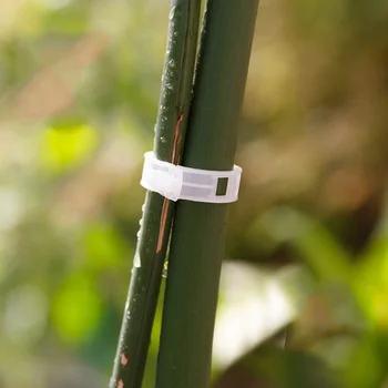

10/50/100pcs Tomato Garden Plastic Plant Support Clips for Plants Hanging Vine Trellis Twine Garden Plant Clip Supplies
