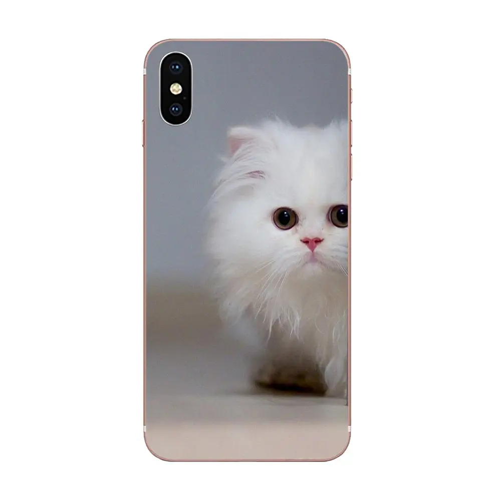 Movil Del Tpu Shell Himalaya Gato Gatito Para Moto G G2 G3 G4 G5 G6 G7 Htc 530 626 628 630 816 De 0 M7 M8 M9 M10 E9 U11 Funda De Cobertura Media Aliexpress