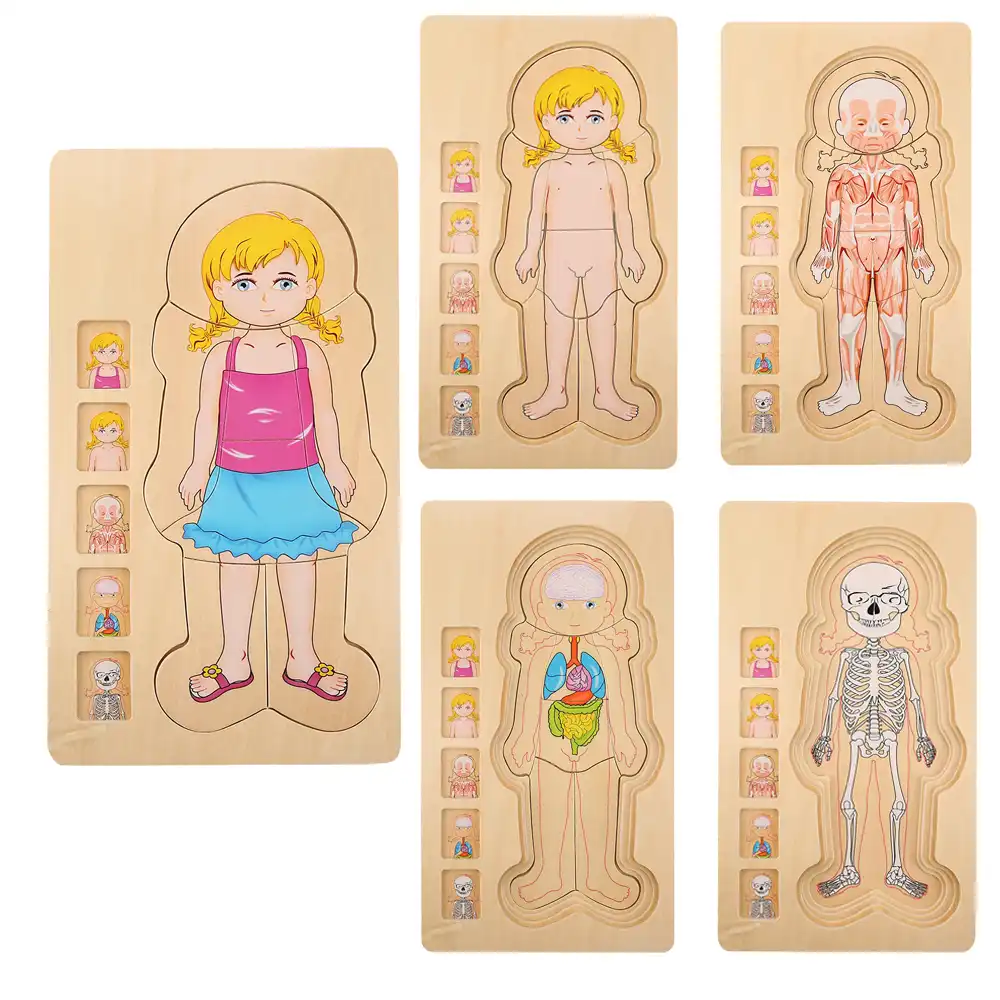 Nuevo rompecabezas de madera de cuerpo humano juguetes para niños y