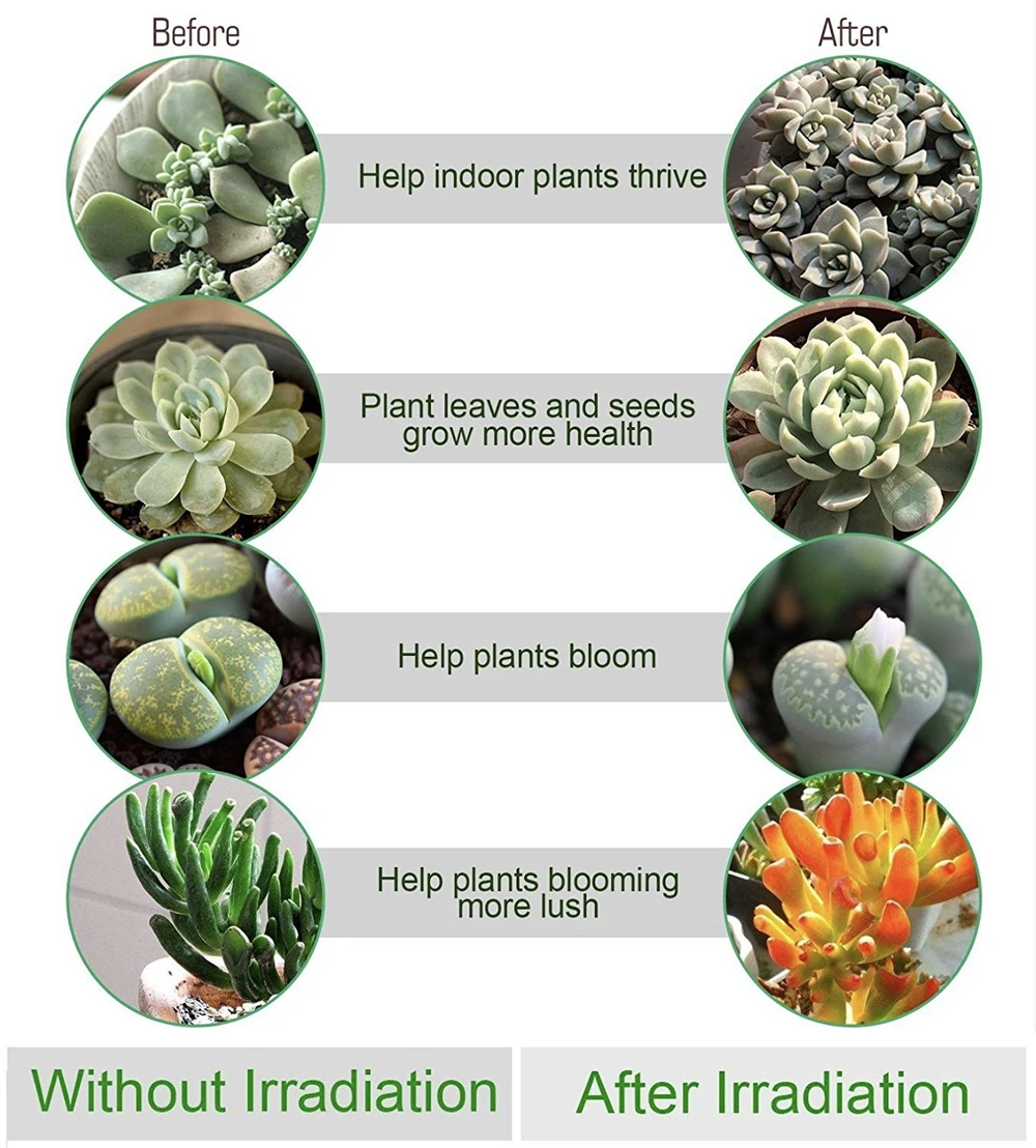 plants led growth lamp (6)