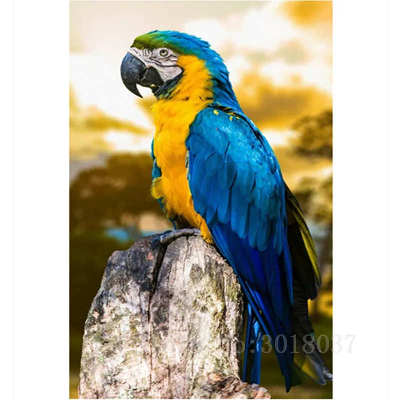 Diamant Diy Diamond Painting Cross Stitch Blue Parrot On The Stone
