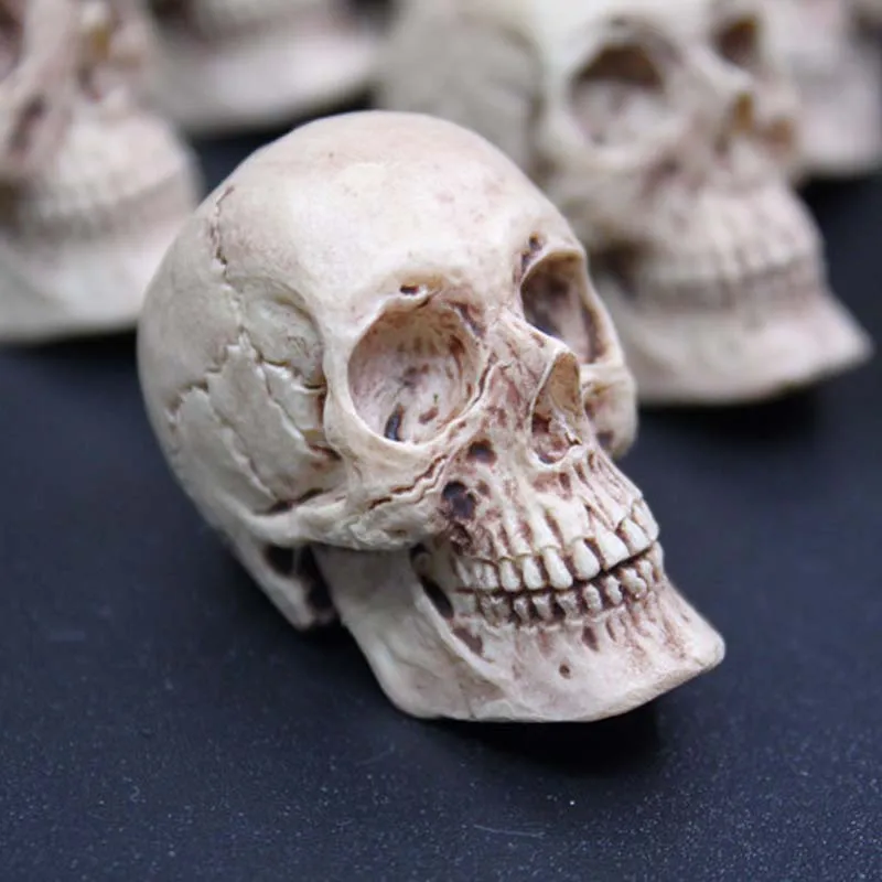 

1/6 Scale Soldier's Human Man Skull Model Old Version for 12inch action figure toy DIY Accessories 1pcs