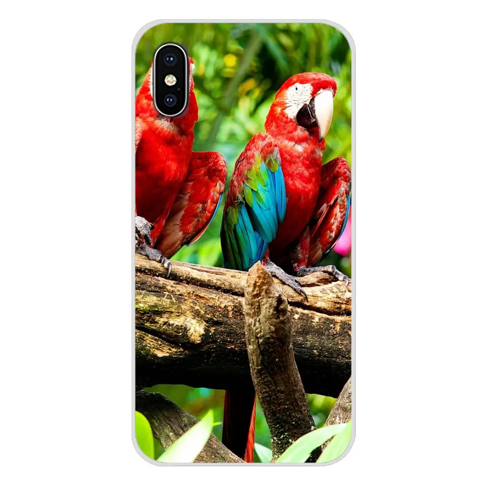 Аксессуары чехлы для телефонов Чехлы Apple iPhone X XR XS MAX 4 4S 5 5S 5C SE 6 6S 7 8 Plus ipod touch