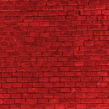 

LIFE MAGIC BOX Red Brick Wall Photography Background Backdrop Photographer