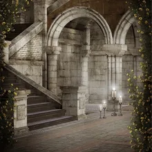 Interior Castillo fotografía telón de fondo ladrillo piso impreso escaleras piedra arqueada pilares enredaderas de flores Vintage foto fondos