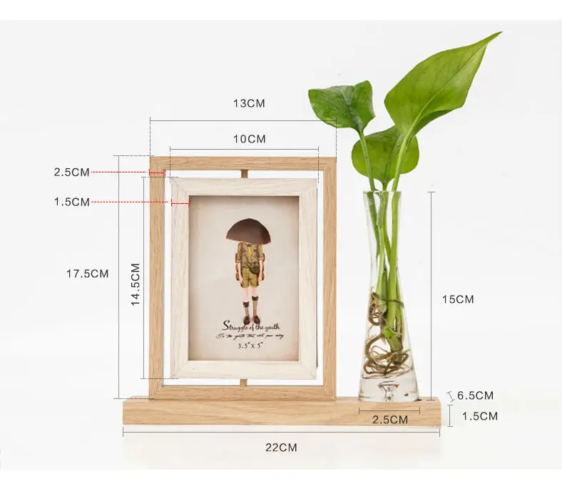 Набор рамок 5 дюймов креативная двухсторонняя рамка для картин гидропонное растение фоторамка настольные украшения фото
