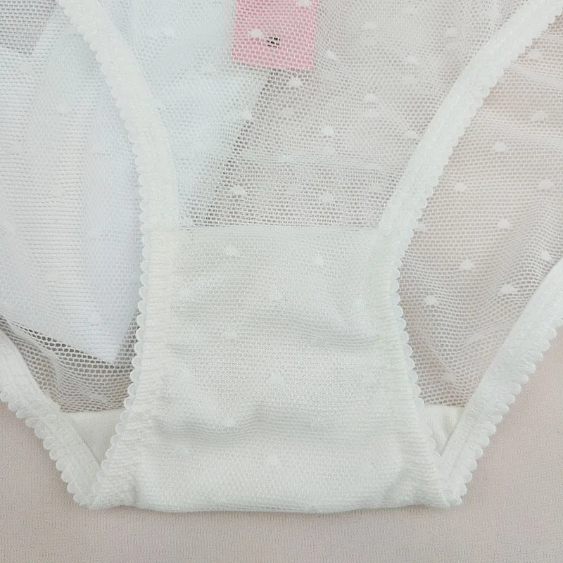 eyelash lace panties briefs (9)