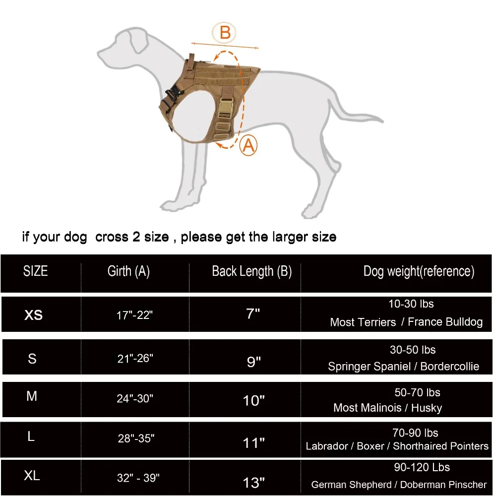 QD-DOG HARNESS