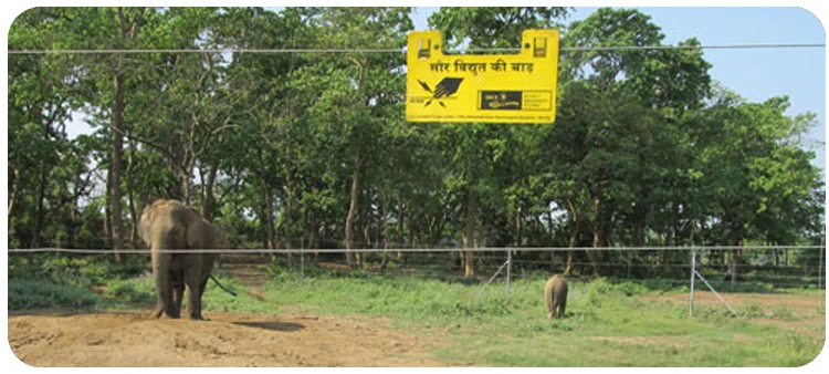 elephant-electric-fence-energizer-752