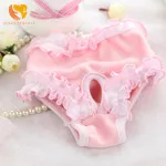 Cute-Pet-Dog-Panty-Small-Female-Sanitary-Pants-Underwear-Cute-Hygienic-Pant-Short-Cotton-Pet-Physiological.jpg_640x640_
