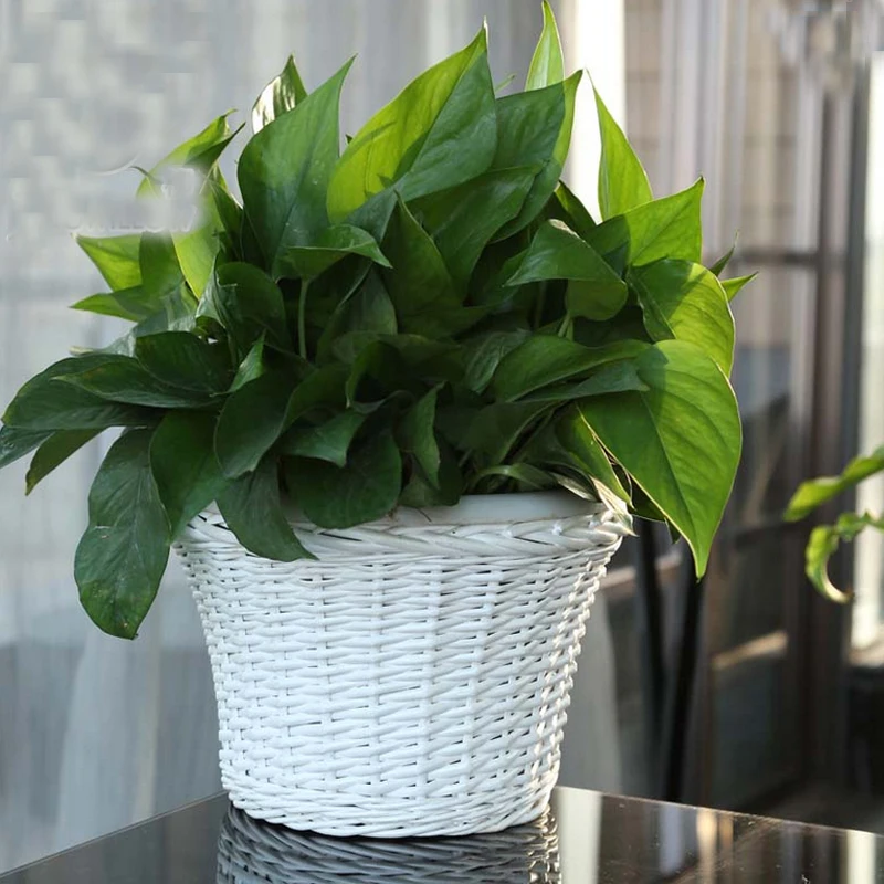 القش سلة الروطان الإبداعية زهرة بونساي Planten وعاء الغراس المنسوجة تعوق سلة التخزين عصاري وعاء النبات ديكور المنزل القش سلة الروطان الإبداعية زهرة بونساي Planten وعاء الغراس المنسوجة تعوق سلة التخزين عصاري وعاء النبات ديكور المنزل