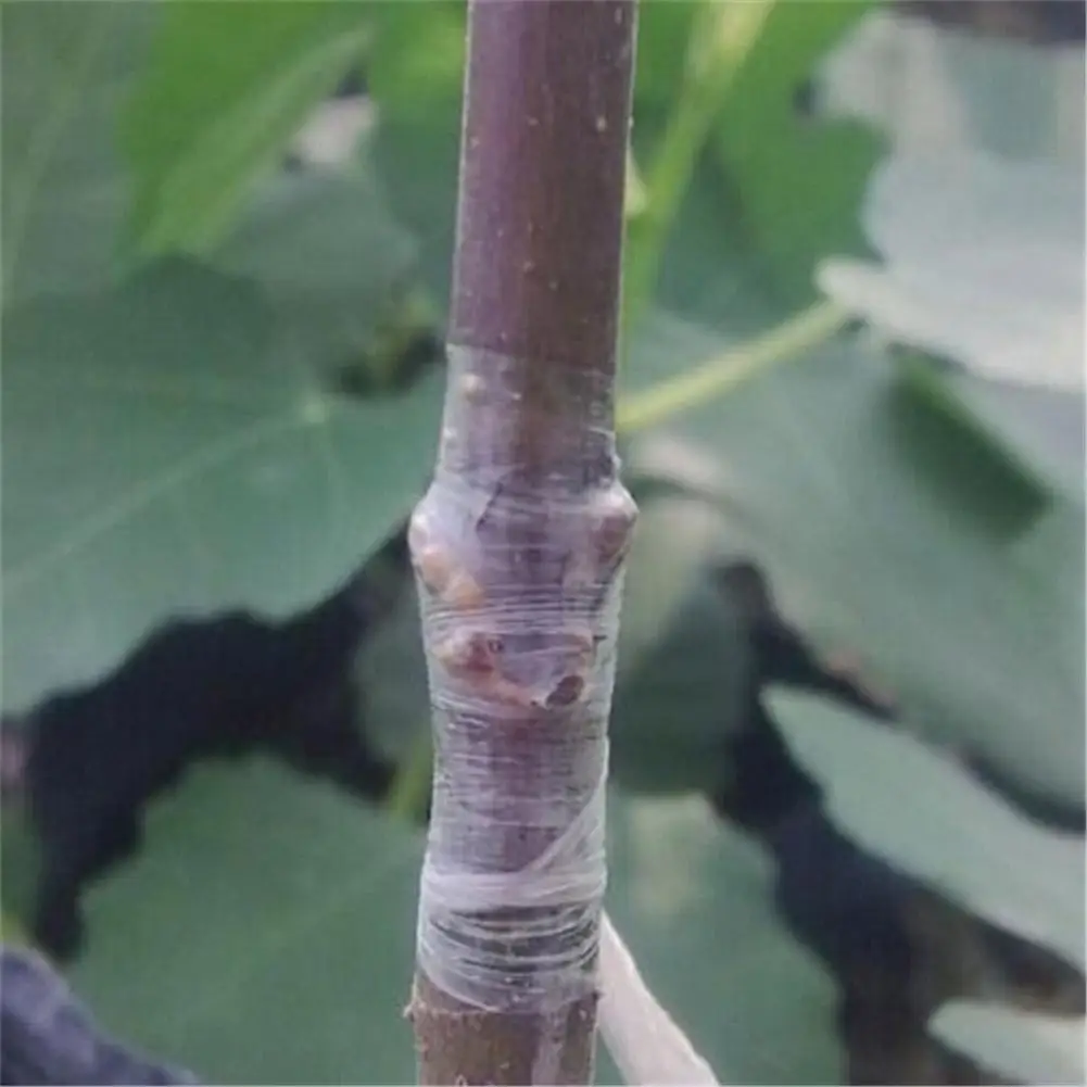 AsyPets 100 м самоклеящаяся лента для садовой ветки фруктового дерева прививка