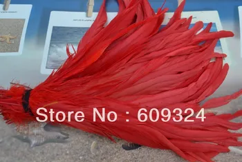 

Free shipping Wholesale 100pcs/lot 30-35cm Red Cock Tail rooster tail Feather Rooster feather coque tail feather