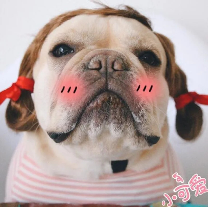

Dog Halloween Prop Funny Pet High Temperature Wire Wig Clown Curly Wig Dog Cat Exploding Hair Fancy Wig Pet Headwear Costume