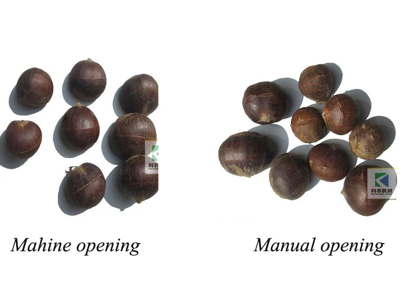 Каштан разрыхлительная машина китайский каштан оболочка режущий консервный нож орехи рот разрыхлительная машина BL-CP-21