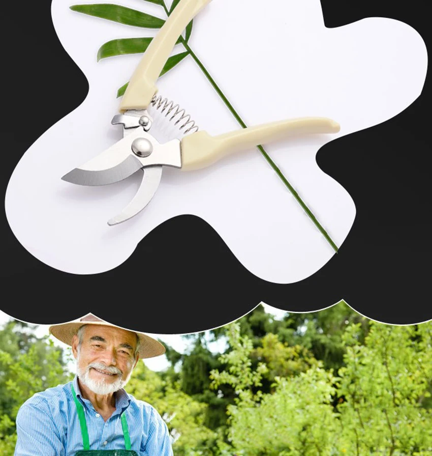 O1CN011Q1ZJHPgDYTxslJ_!!2261571916