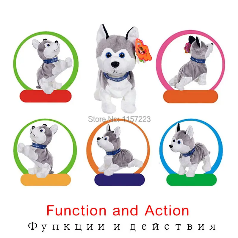 dog (2)