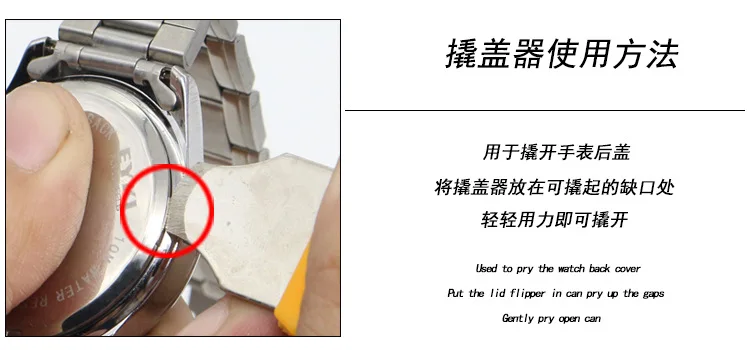 4461696724_462847335