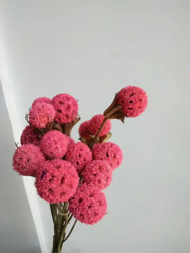 QQ20180408141434