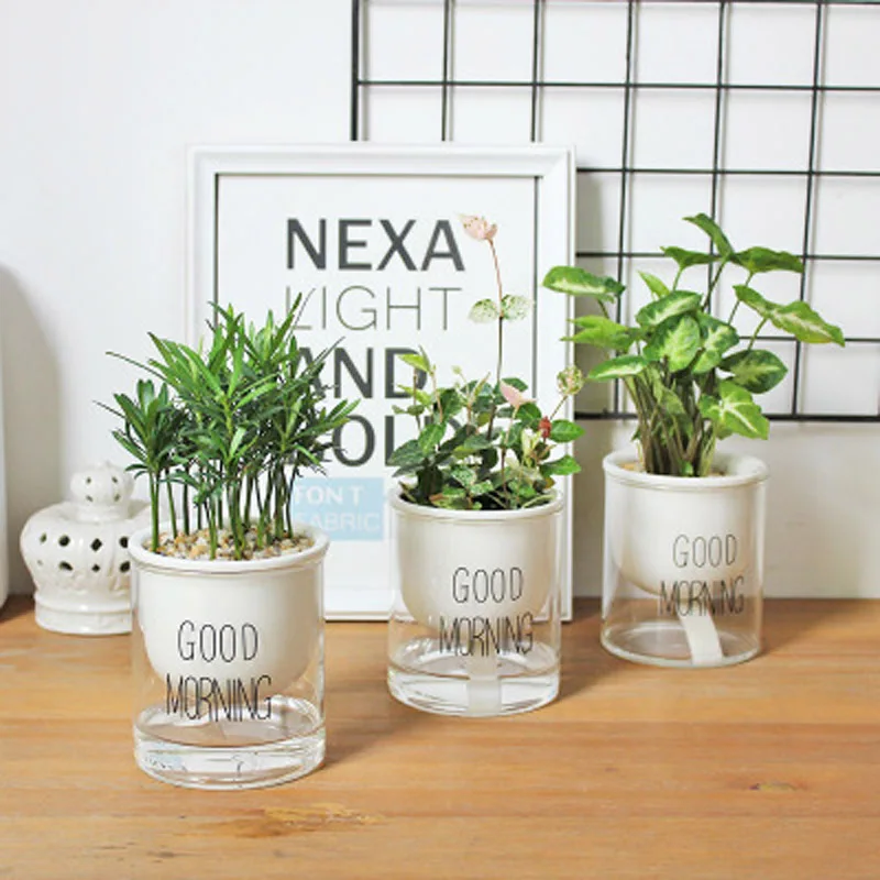 

Automatic Watering Planter Pot Ceramic Flowerpot with Glass Water Container for Green Plants Succulent More meat Plant Cactus