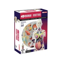 Образовательный Собранный 4d Скелет человеческого тела череп для изучения анатомии беременность женщины модель головоломка медицинская наука кукла игрушки 8"