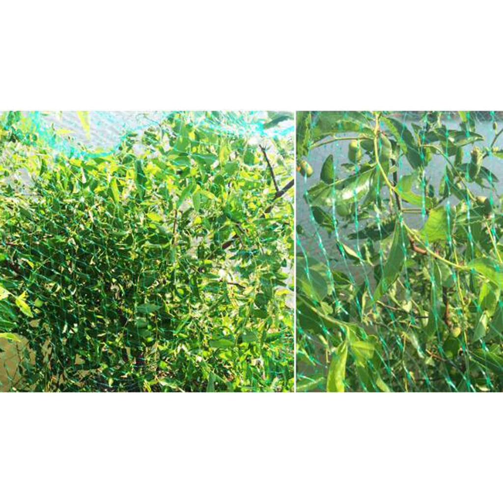   POND ANTI BIRD NET NETTING GARDEN PLANTS VEG FRUIT CROPS PLANTS FINE MESH FOR CROPS PLANTS FLOWERS VEG FRUITS SHIELD