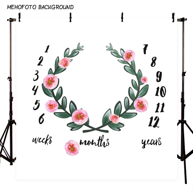 

Custom Vinyl Photography Background Newborn Calendar Birthday Children Baby Photo Shoots Backgrounds for Photo Studio S-2783