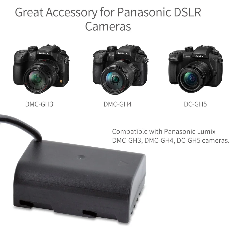 dummy-battery-gh5