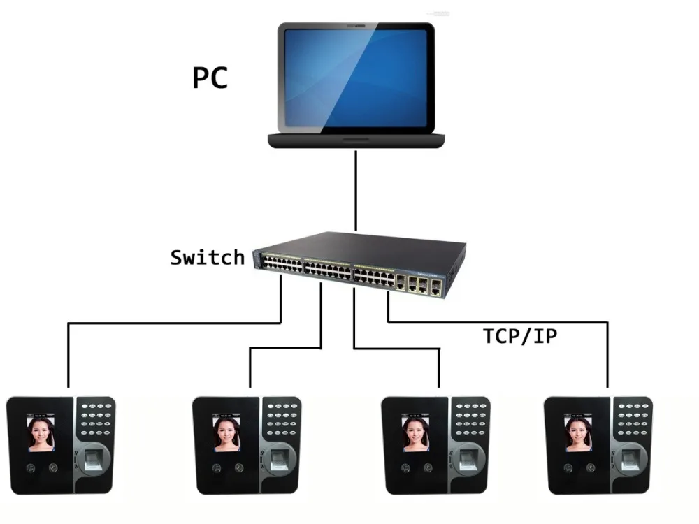 F491 (8)