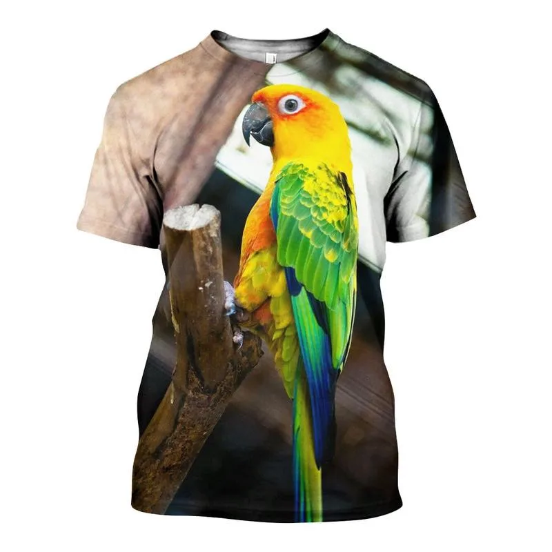 D_c_Sun_Conure_3D_DT231003_TS_800x